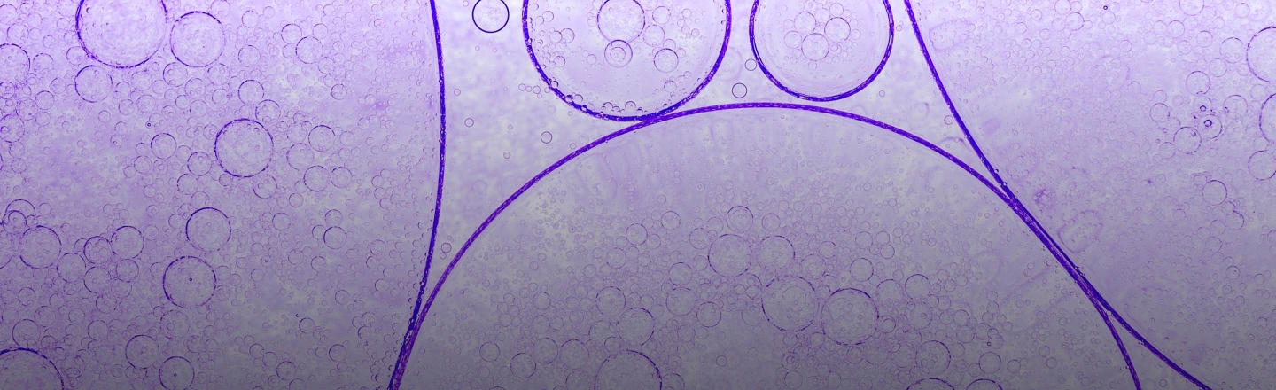 cabecera-desktop-azelaico-2280x880