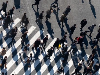 Efectos de los radicales libres