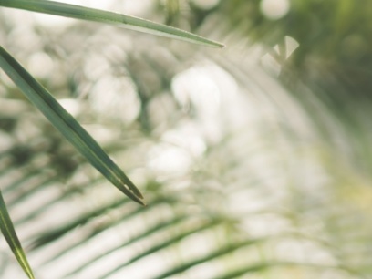 Beneficios de los antioxidantes