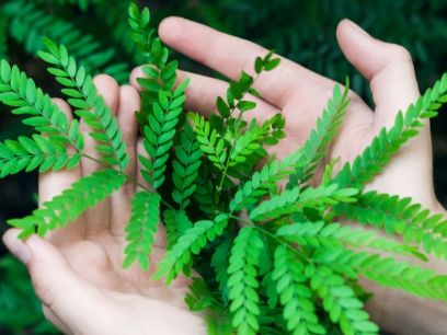 285.-fotoproteccion-experta-como-es-el-mejor-protector-solar