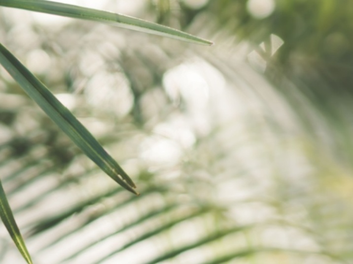 Beneficios de los antioxidantes