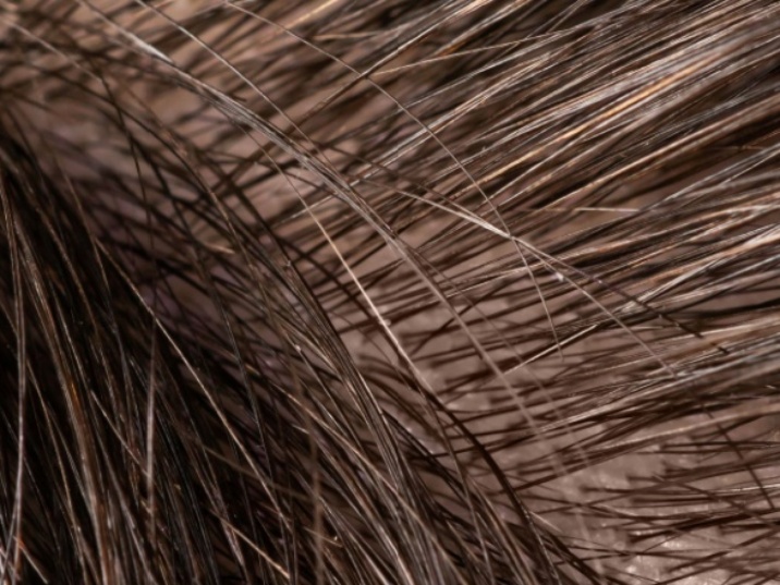 Composición del pelo