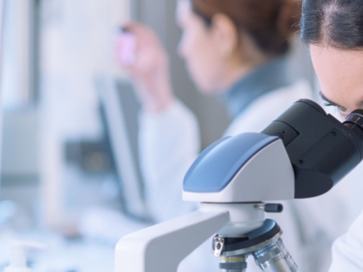 Células del sistema inmune