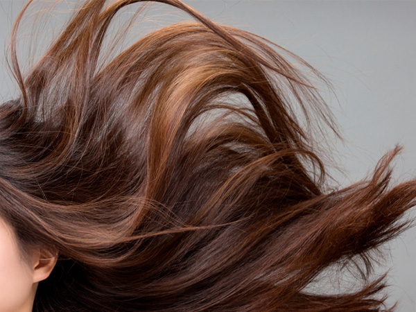 Beneficios_Fortificante_600x450-1