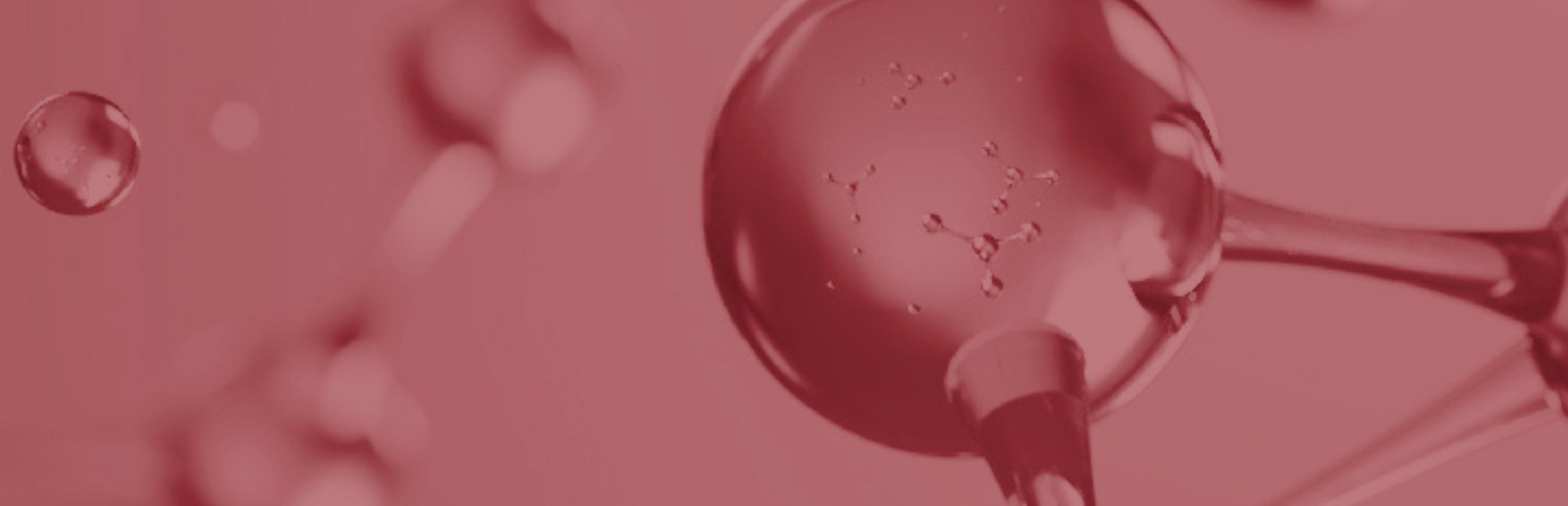 LineSlider_LCistina_2880x930