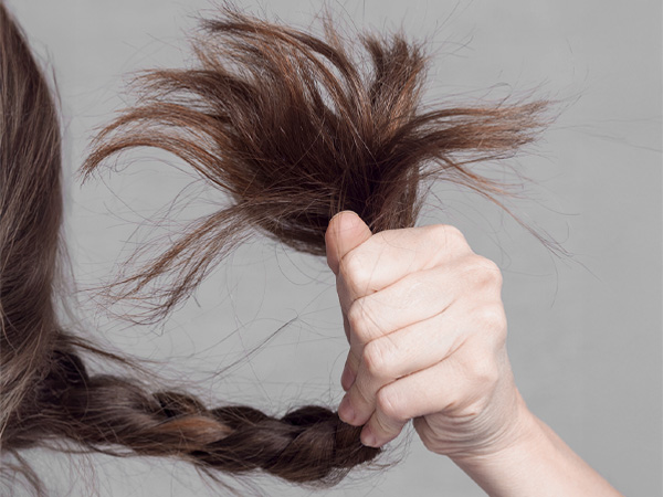 Beneficios_Fortificante_600x450-2