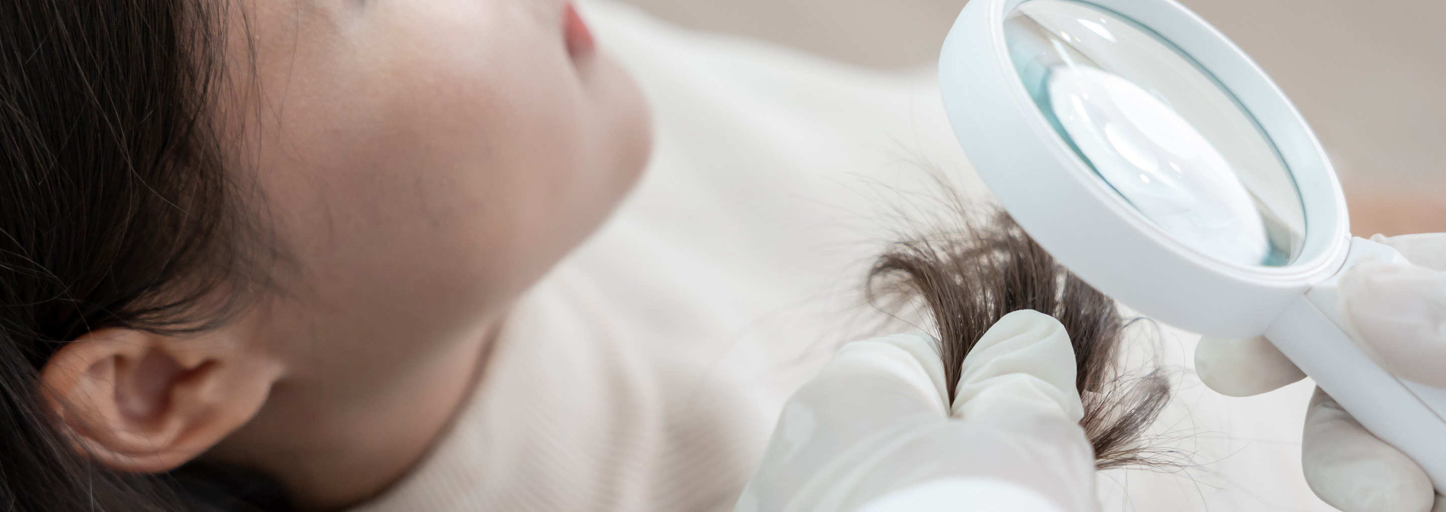 BannerImage_Zinc_2880x1020