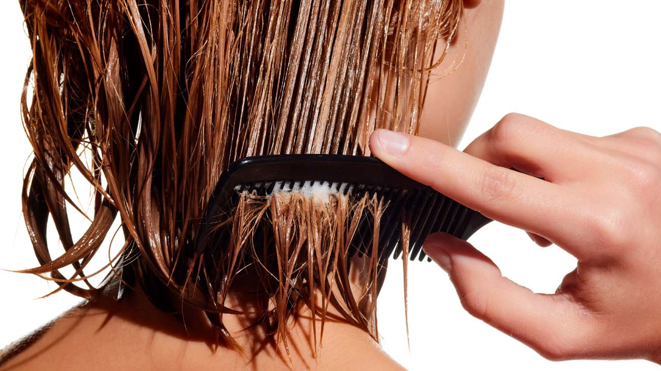 UseMode_ChampuDS_1308x735