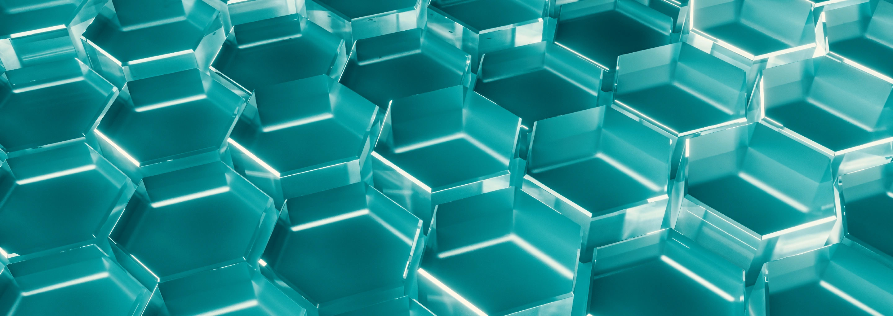 banner-desktop_senesblock