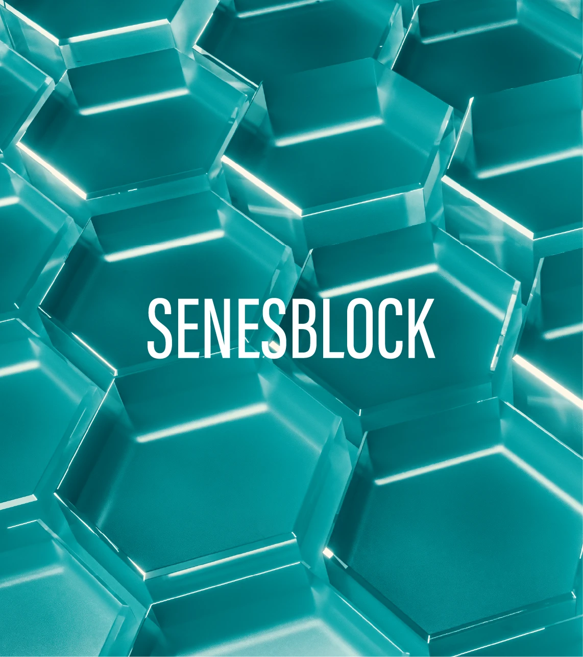 ficha-producto_senesblock