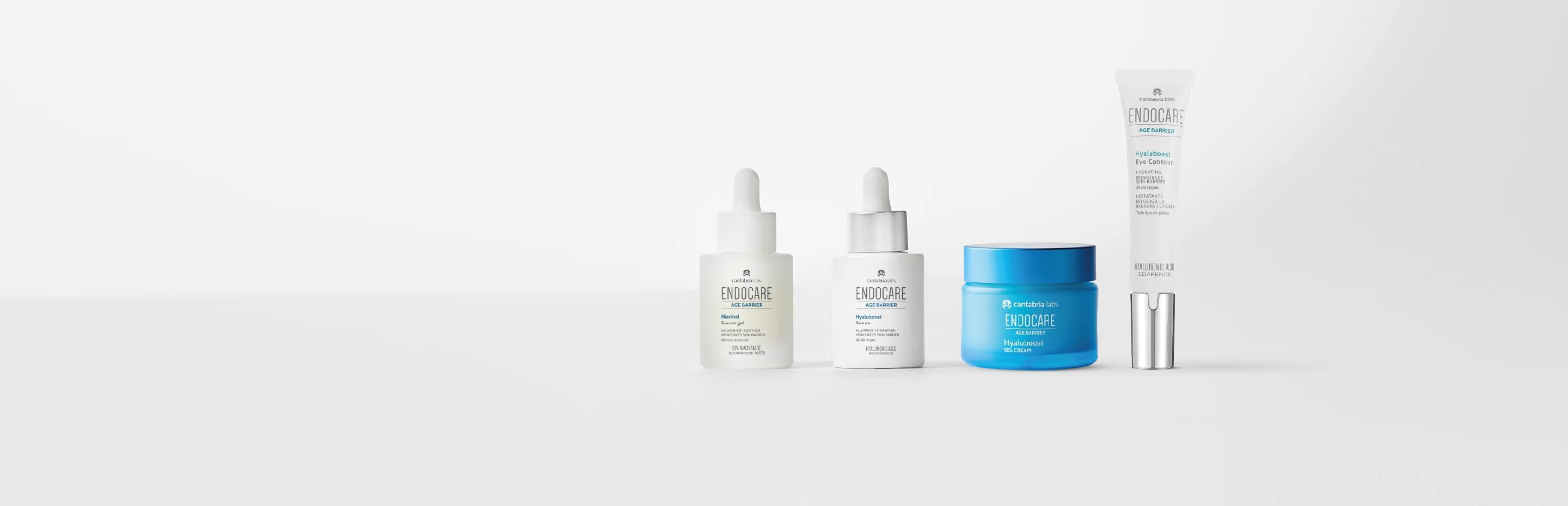 _LINE SLIDER_PLANTILLA_2880x930 (1)