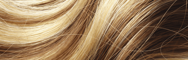 Indica Revelar Escritura Cuál es la composición del pelo? | Cantabria Labs España